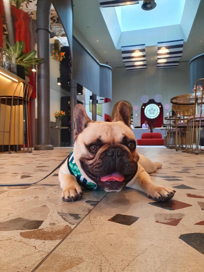 Hotel Grand Koper Eksteriør bilde